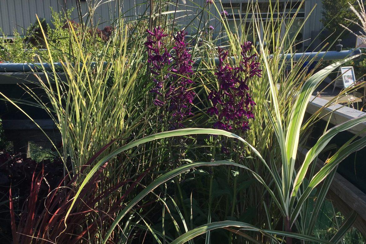 Tong Garden Centre celebrates e learning investment three60 marketing